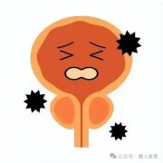 尿路感染为何女性多发？