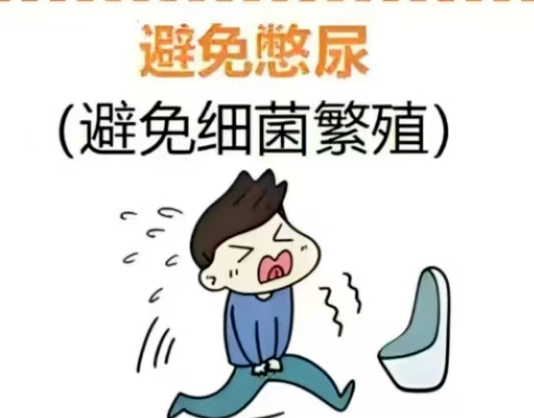 尿路12.png