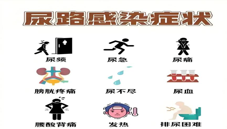 尿路2.png