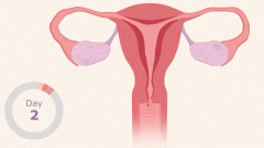 月经结束后仍有褐色分泌物？别慌，这