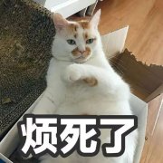 【石狮妇科】月经长时间不干净，小心