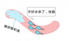 【石狮现代妇科医院】怀孕路上的“绊