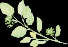 【石狮妇科医院】白带黄黄绿绿，像一