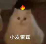 外阴瘙痒难耐？可能是“它”在作祟！