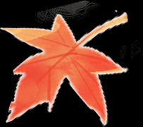 女性疼痛并非“忍忍就好”，科学应对