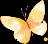 妇科炎症类型多，这4种要警惕！