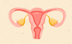 妇科检查发现子宫肌瘤，需要马上做手